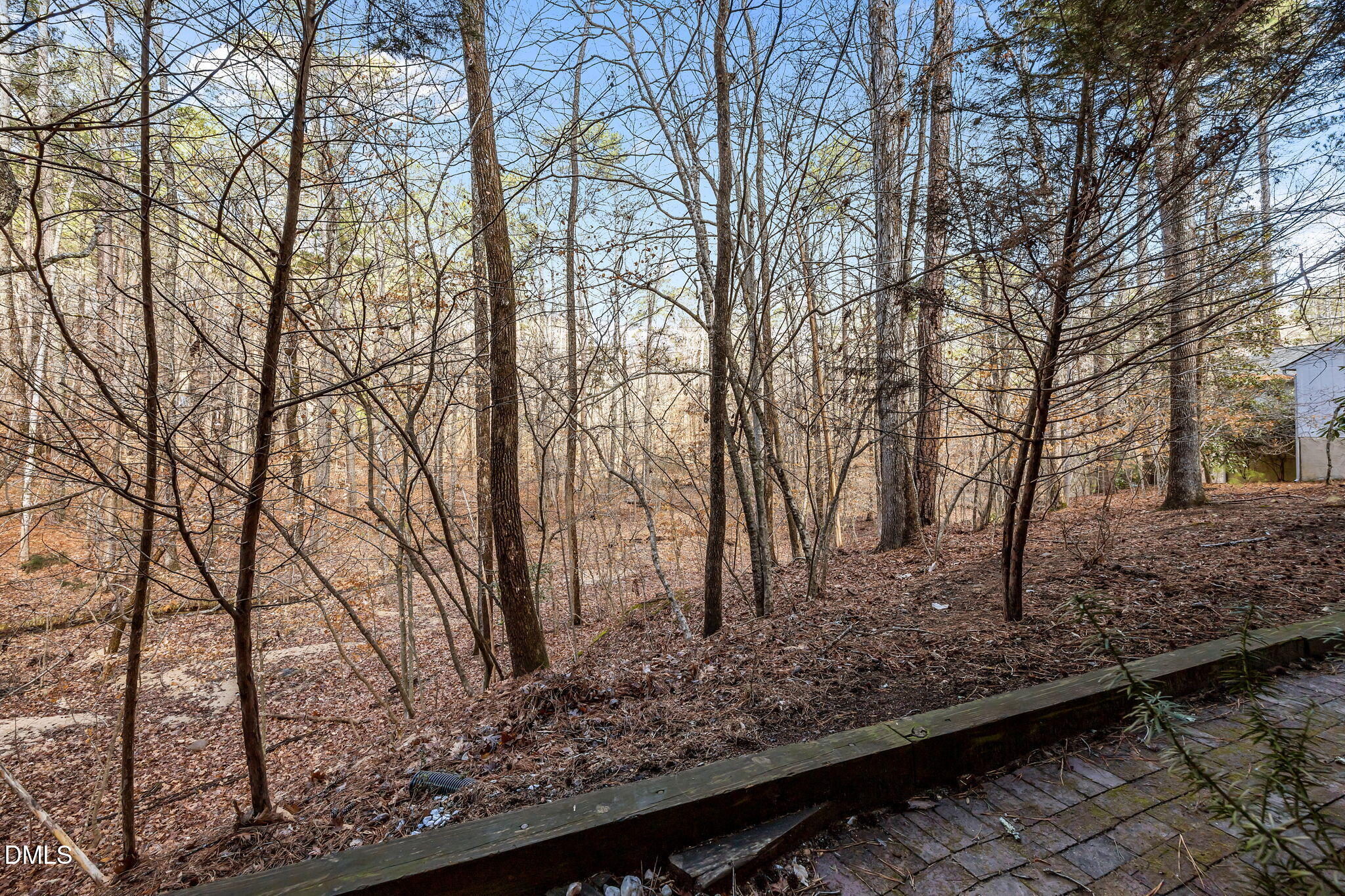 246 Fox Ridge Road Pittsboro, NC 27312 - Photo 28 of 34