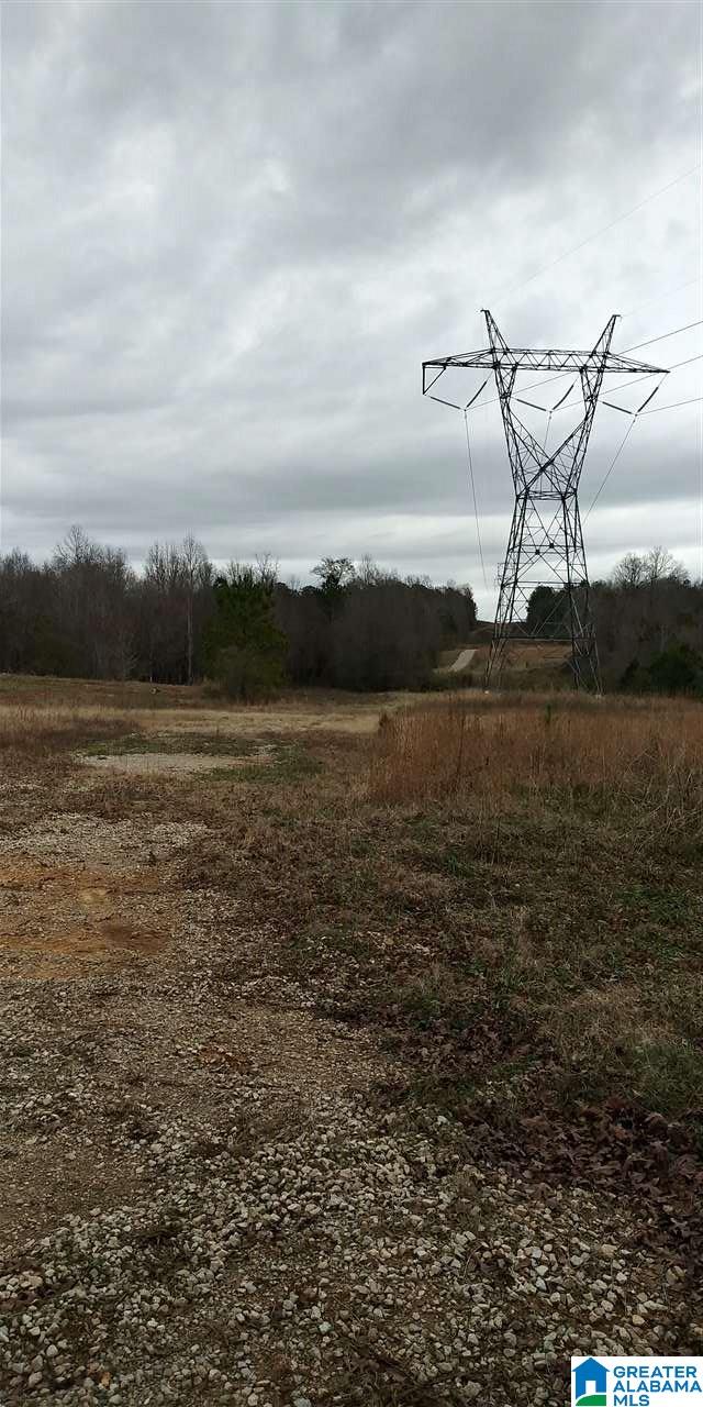 7240 Pocahontas Road, Unit 39 63 ACRES Bessemer, AL 35022 - Photo 3 of 5