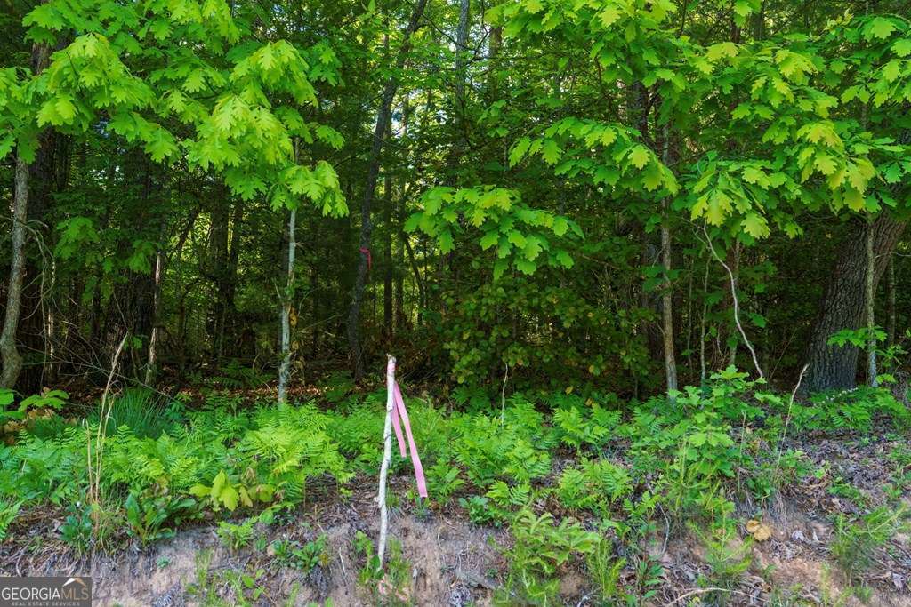 1 West Gum Log Road Warne, NC 28909 - Photo 4 of 26
