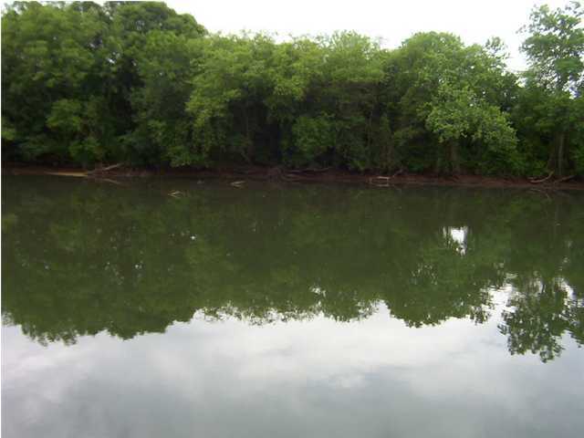 555 Dentville Road Delano, TN 37325 - Photo 6 of 7 Additional Photo