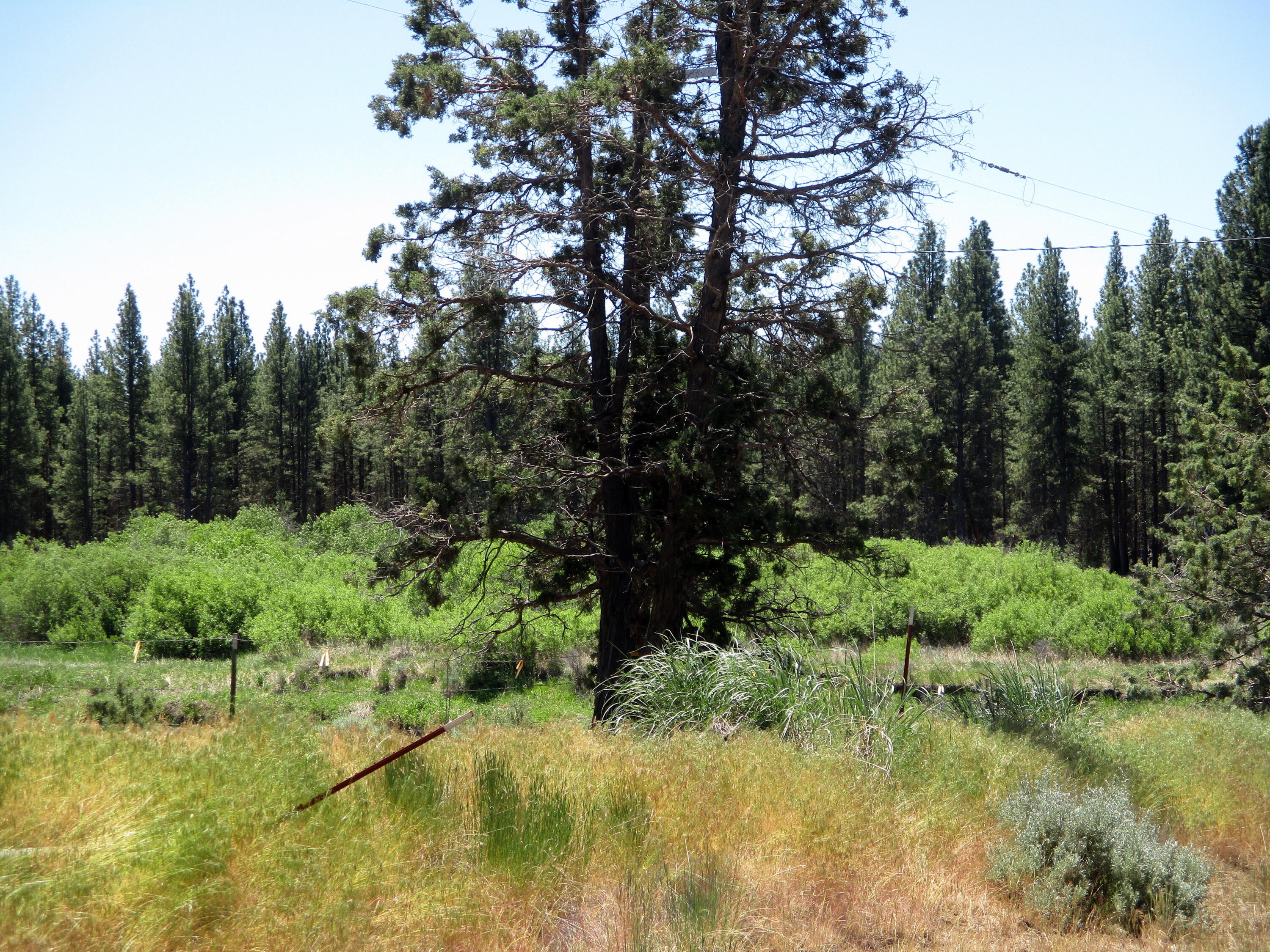 14914 Sprague River Road Chiloquin, OR 97624 - Photo 20 of 42 IMG_1011