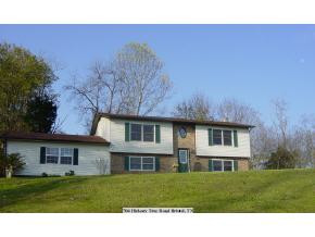 704 Hickory Tree Road Bristol, TN 37620 - Photo 1 of 6 Photo 1