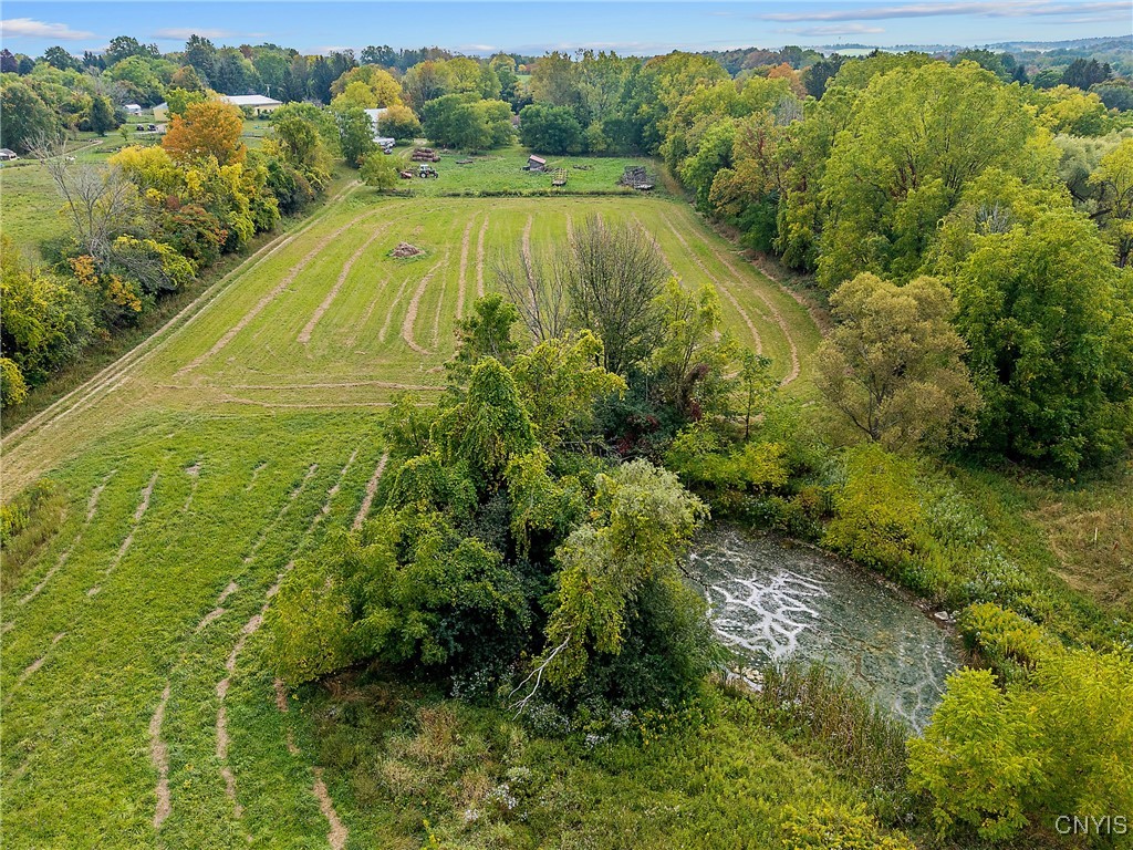 693 Masters Road Elbridge, NY 13060 - Photo 16 of 29 Springfed pond.