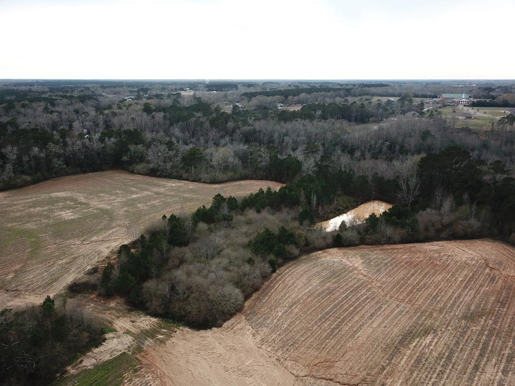 50.45-acres Trawick Road Dothan, AL 36301 - Photo 47 of 62