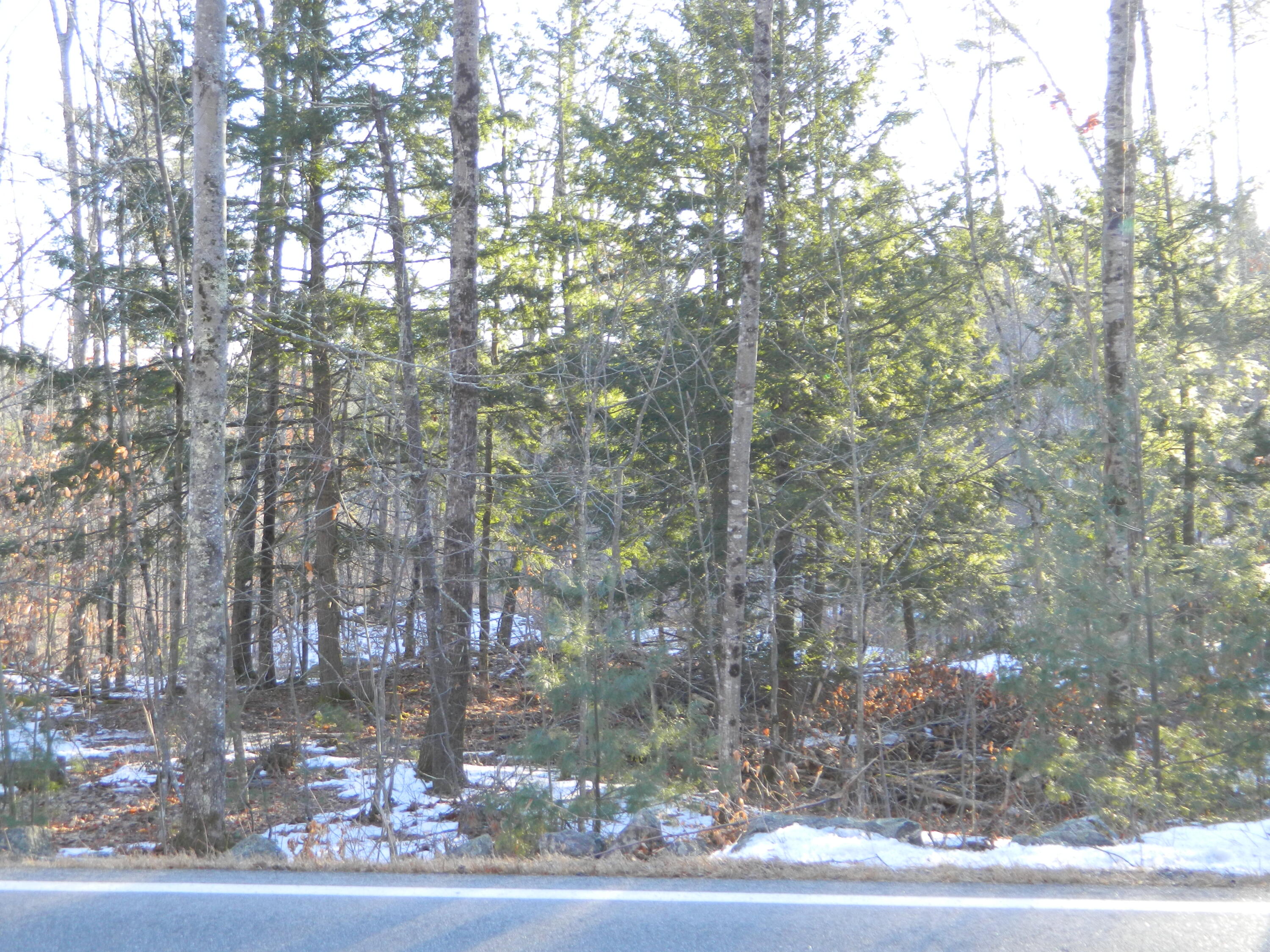 R6-41-s2 Railroad Avenue Springvale, ME 04083 - Photo 2 of 2 Sublot S2-1