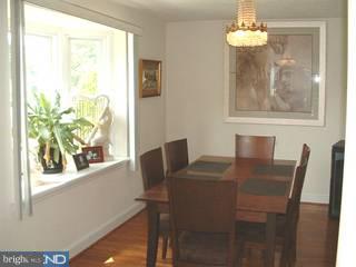 230 Pine Ridge Road Havertown, PA 19083 - Photo 4 of 6