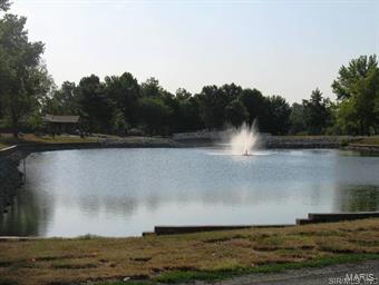 1260 Blackjack Road Troy, IL 62294 - Photo 30 of 35