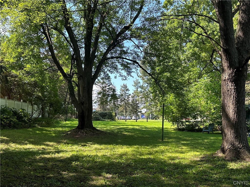 413 Fremont Road Manlius, NY 13057 - Photo 9 of 29