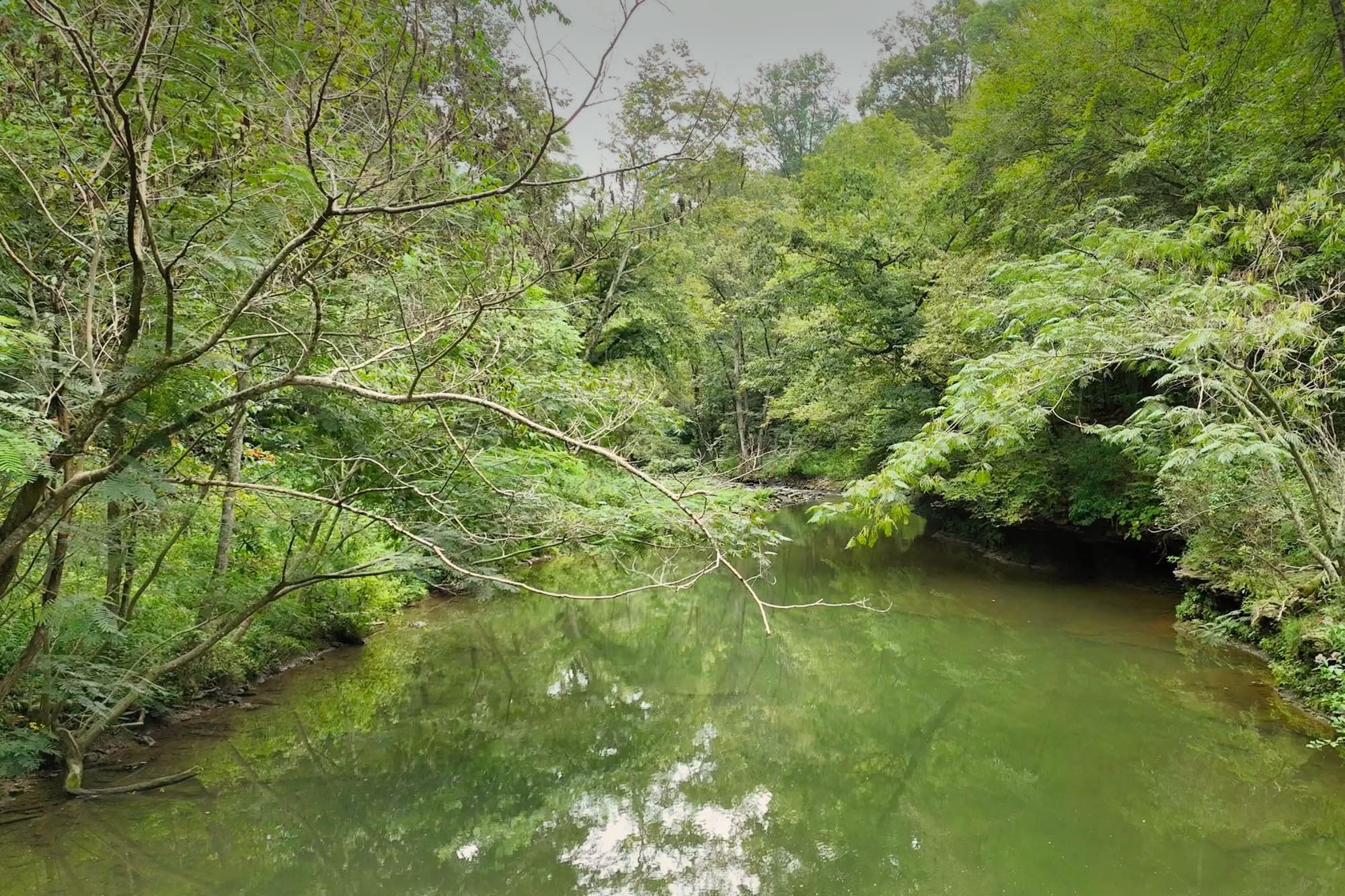 1045 Jones Mill Road Smithville, TN 37166 - Photo 11 of 41