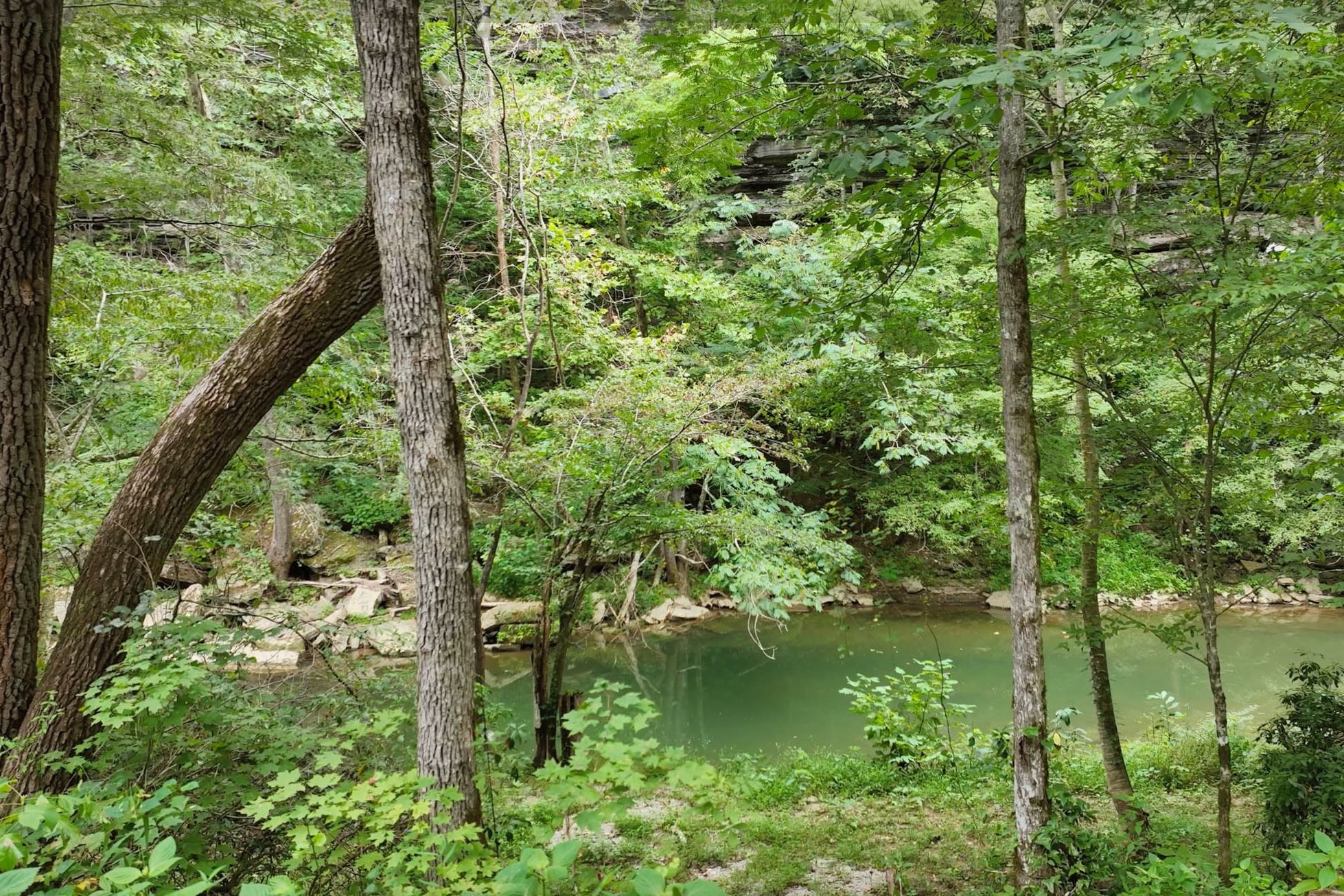 1045 Jones Mill Road Smithville, TN 37166 - Photo 14 of 41