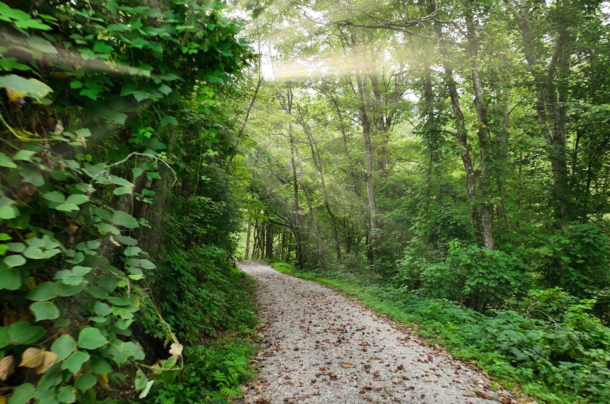 1045 Jones Mill Road Smithville, TN 37166 - Photo 16 of 41