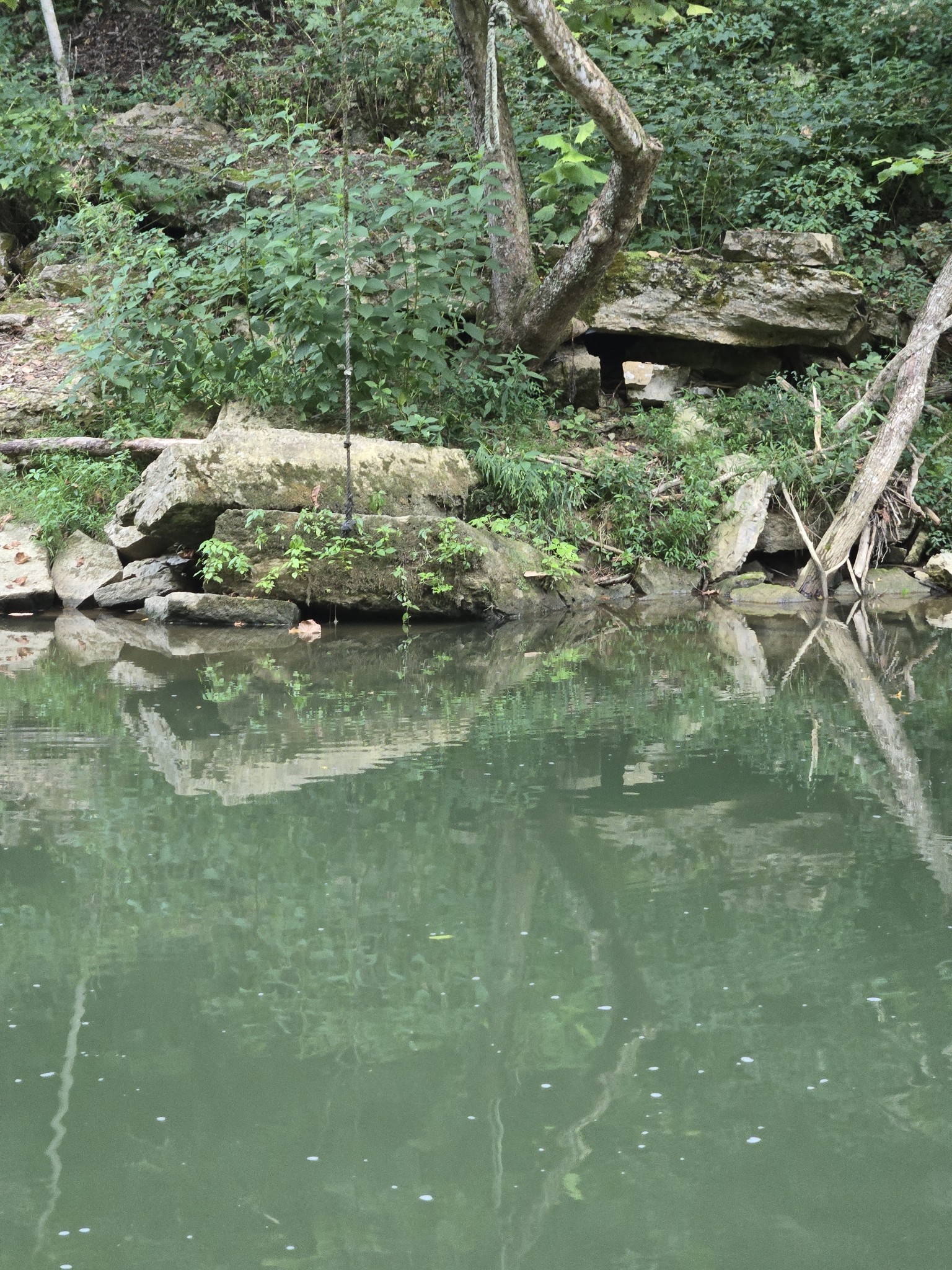 1045 Jones Mill Road Smithville, TN 37166 - Photo 21 of 41