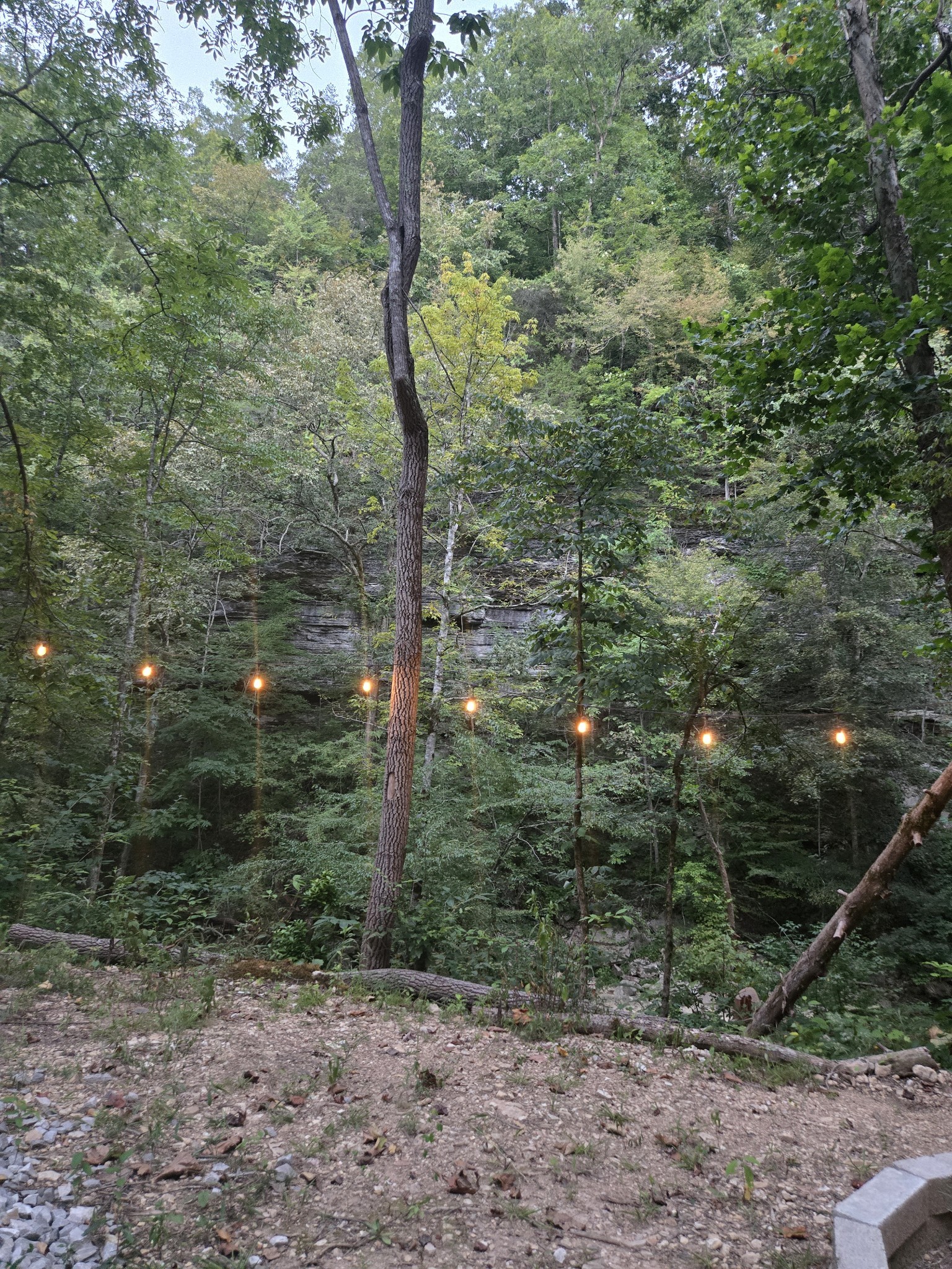 1045 Jones Mill Road Smithville, TN 37166 - Photo 24 of 41