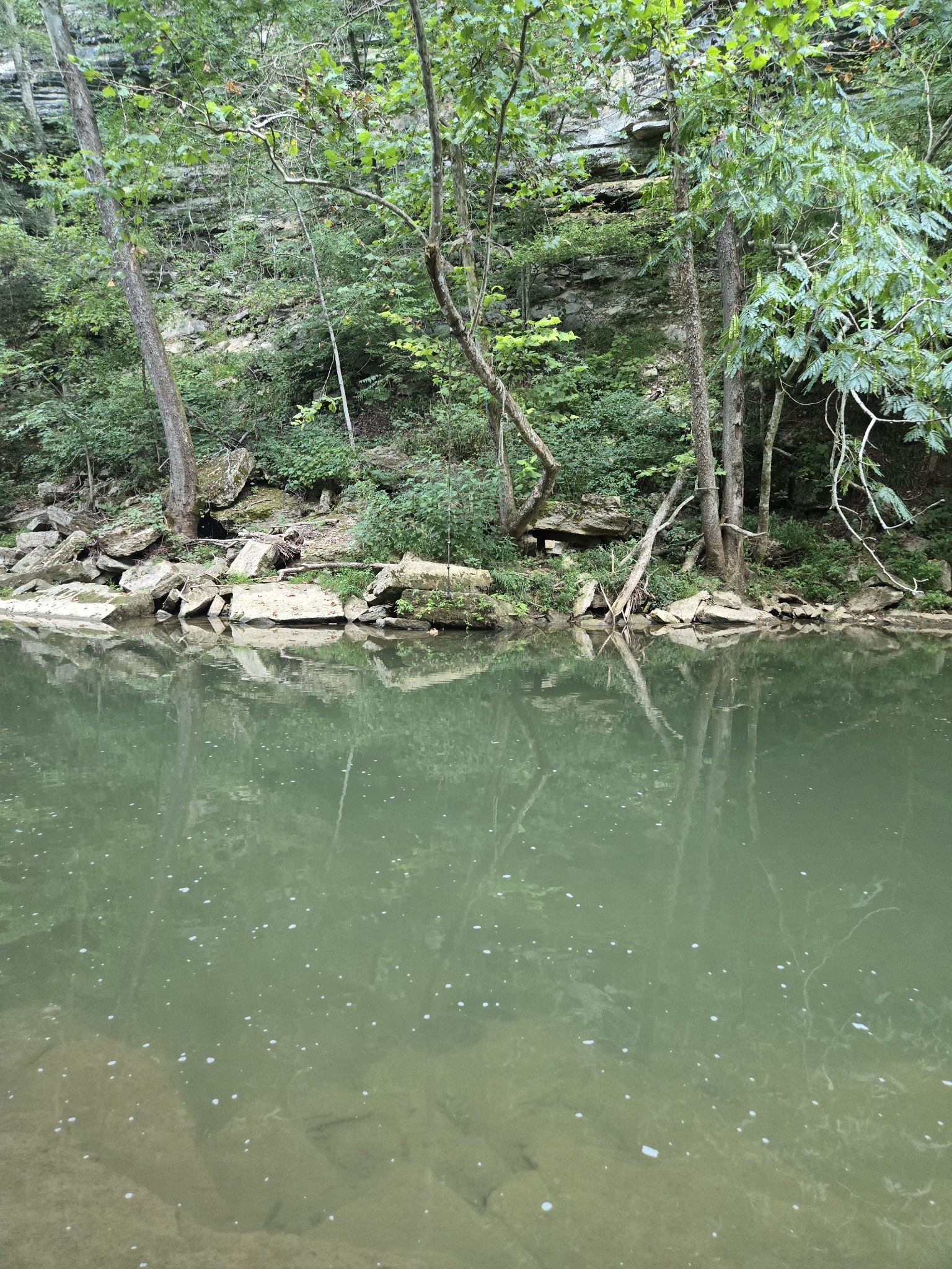 1045 Jones Mill Road Smithville, TN 37166 - Photo 27 of 41