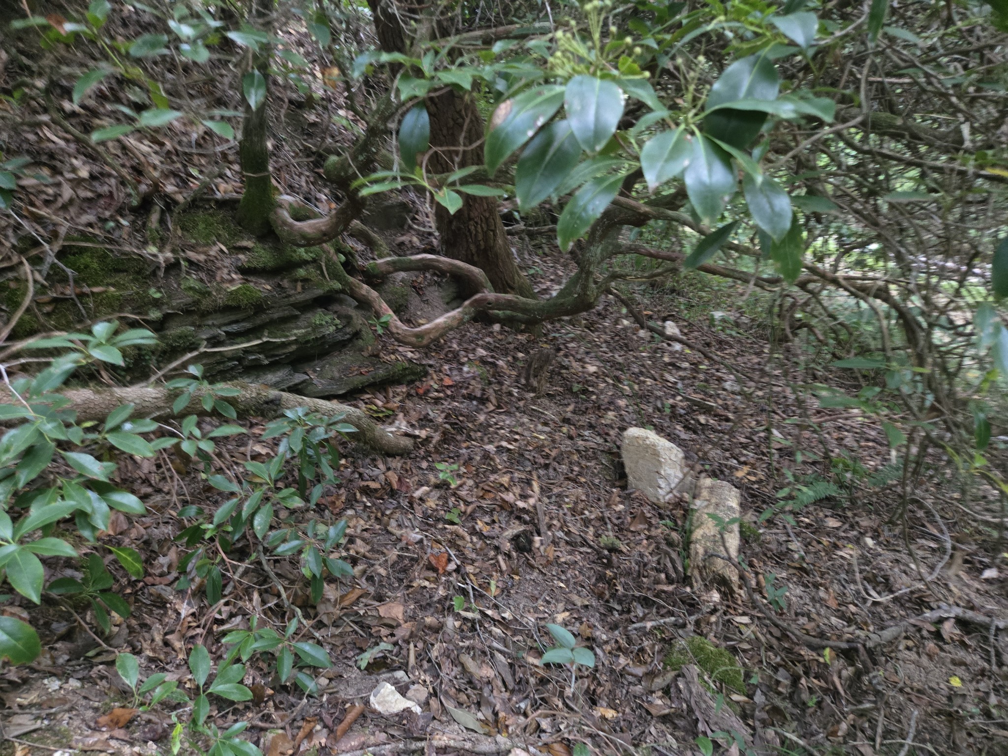 1045 Jones Mill Road Smithville, TN 37166 - Photo 30 of 41