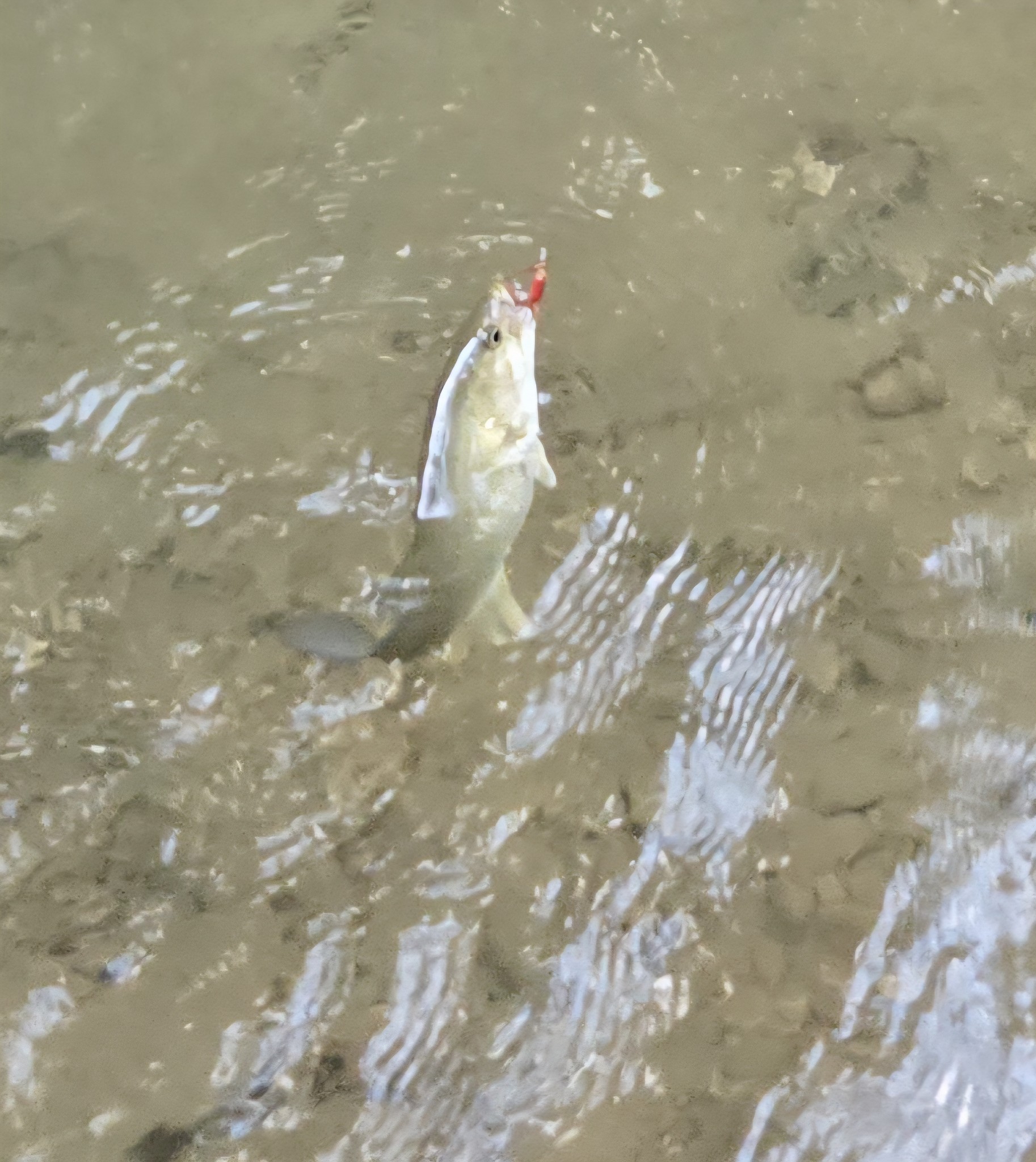 1045 Jones Mill Road Smithville, TN 37166 - Photo 32 of 41