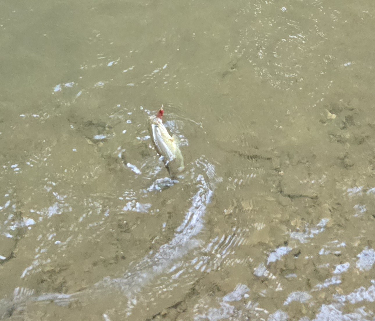 1045 Jones Mill Road Smithville, TN 37166 - Photo 33 of 41