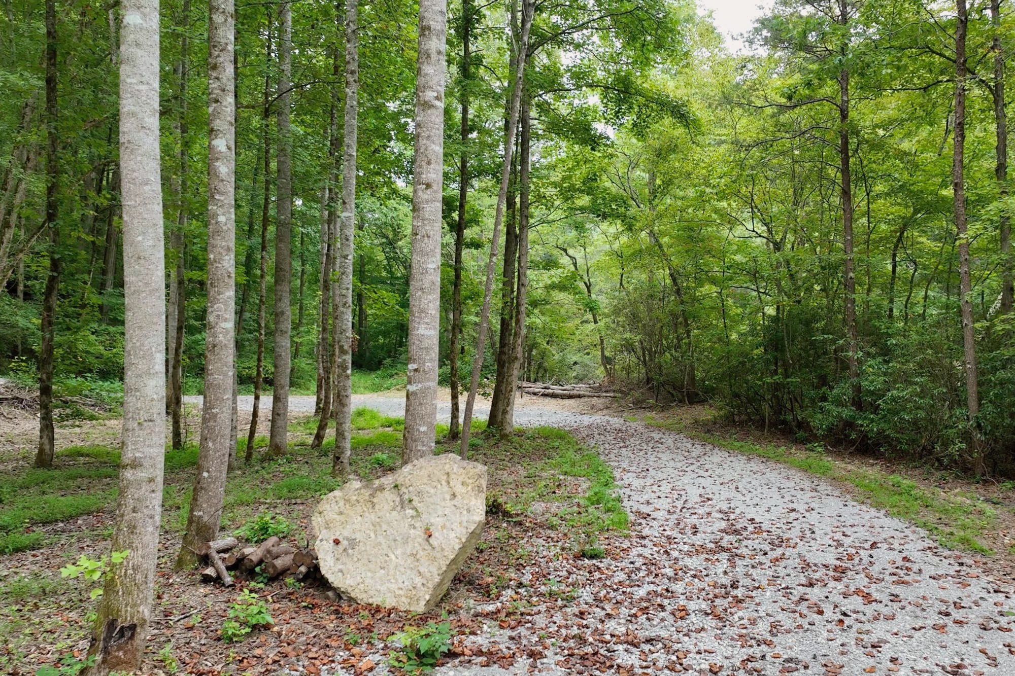 1045 Jones Mill Road Smithville, TN 37166 - Photo 35 of 41