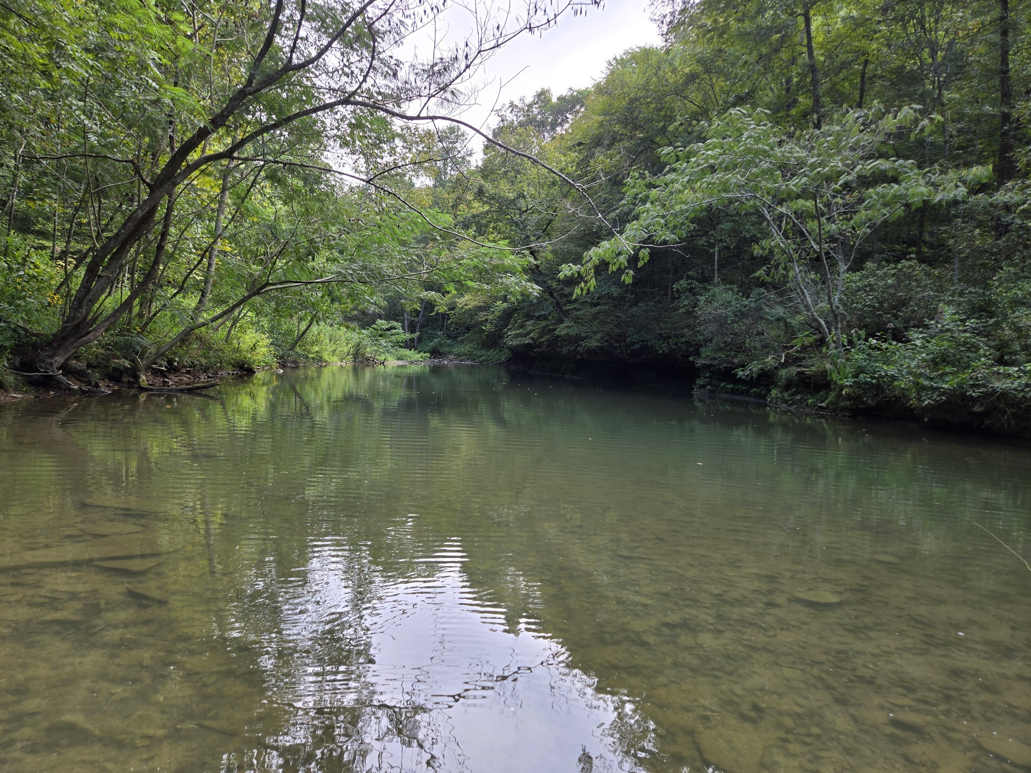 1045 Jones Mill Road Smithville, TN 37166 - Photo 37 of 41
