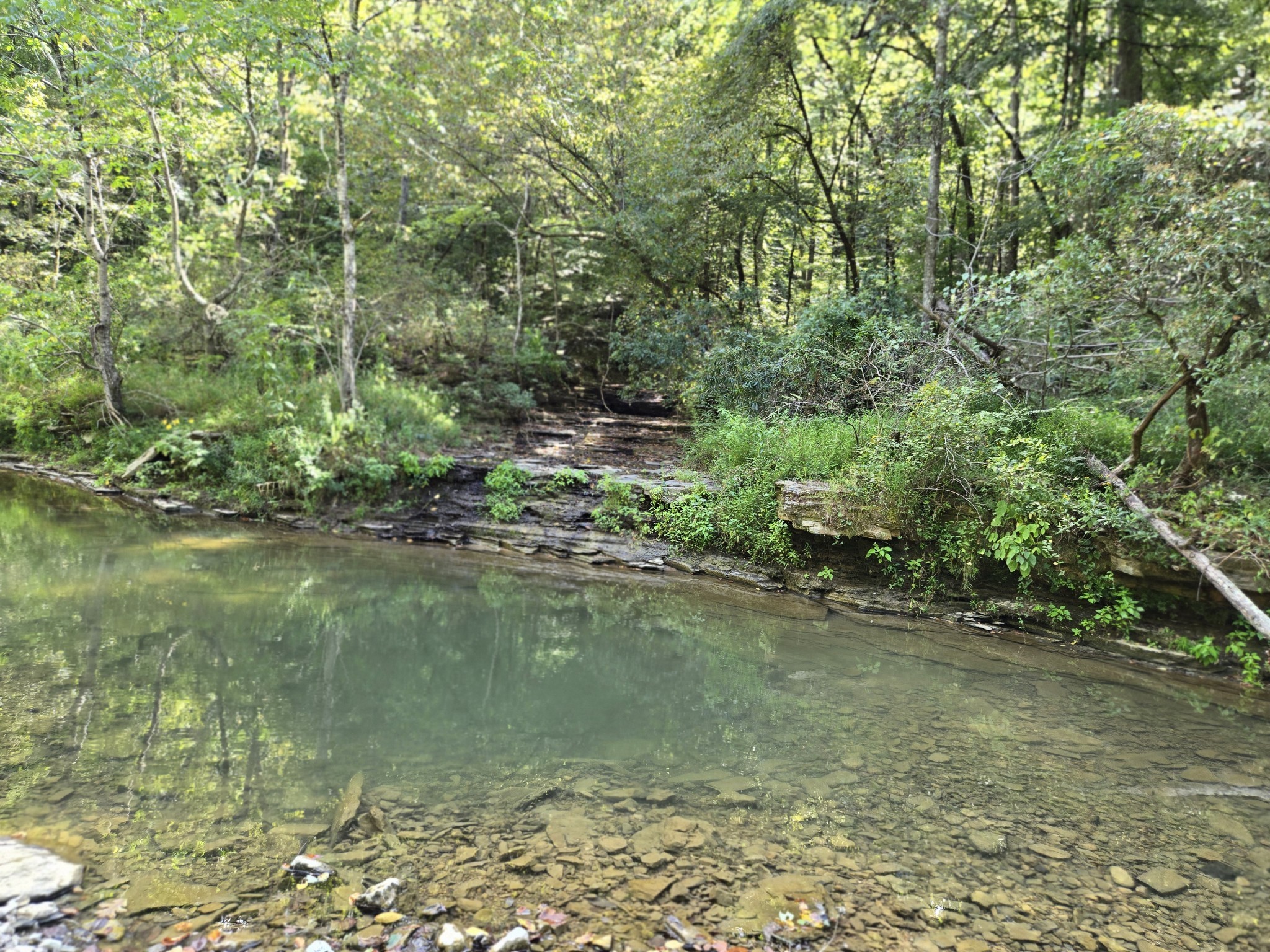 1045 Jones Mill Road Smithville, TN 37166 - Photo 39 of 41