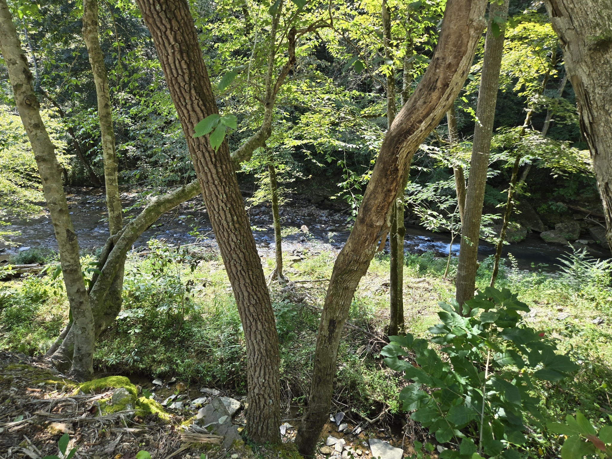 1045 Jones Mill Road Smithville, TN 37166 - Photo 41 of 41