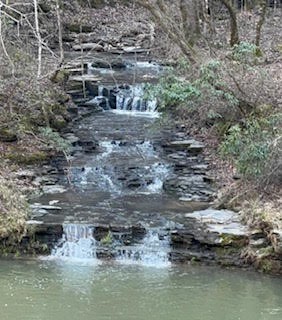 1045 Jones Mill Road Smithville, TN 37166 - Photo 6 of 41