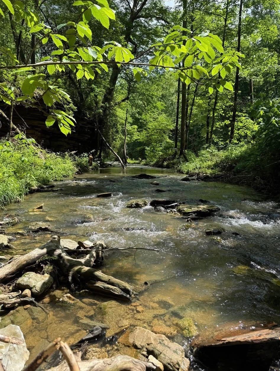 1045 Jones Mill Road Smithville, TN 37166 - Photo 7 of 41