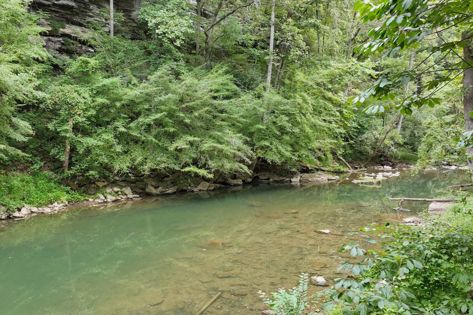 1045 Jones Mill Road Smithville, TN 37166 - Photo 9 of 41