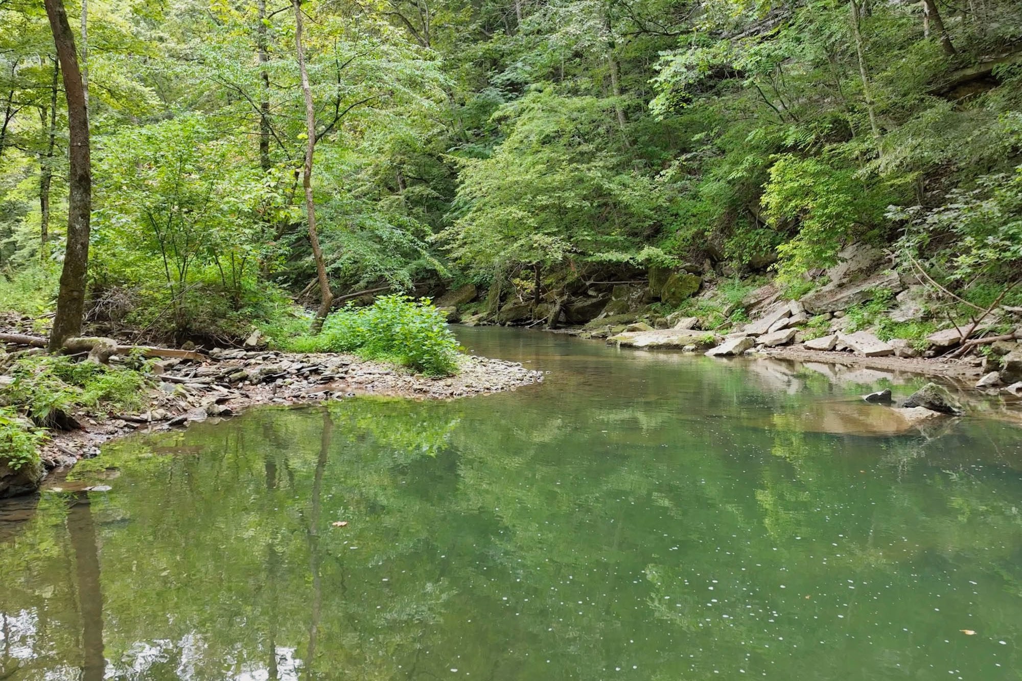 1045 Jones Mill Road Smithville, TN 37166 - Photo 10 of 41