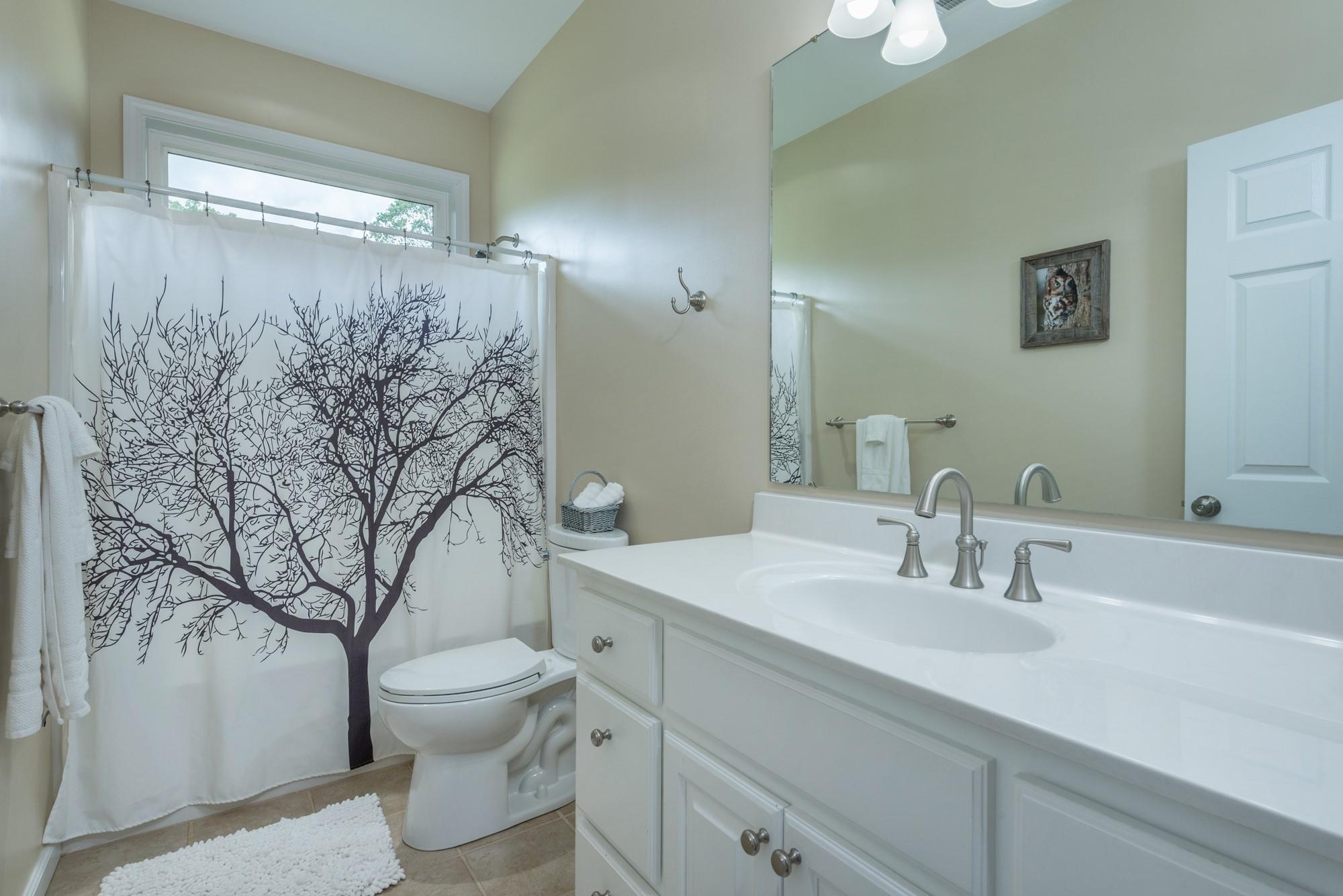 750 Iron Tree Drive Clyde, NC 28721 - Photo 13 of 40 a bathroom with a sink toilet and shower