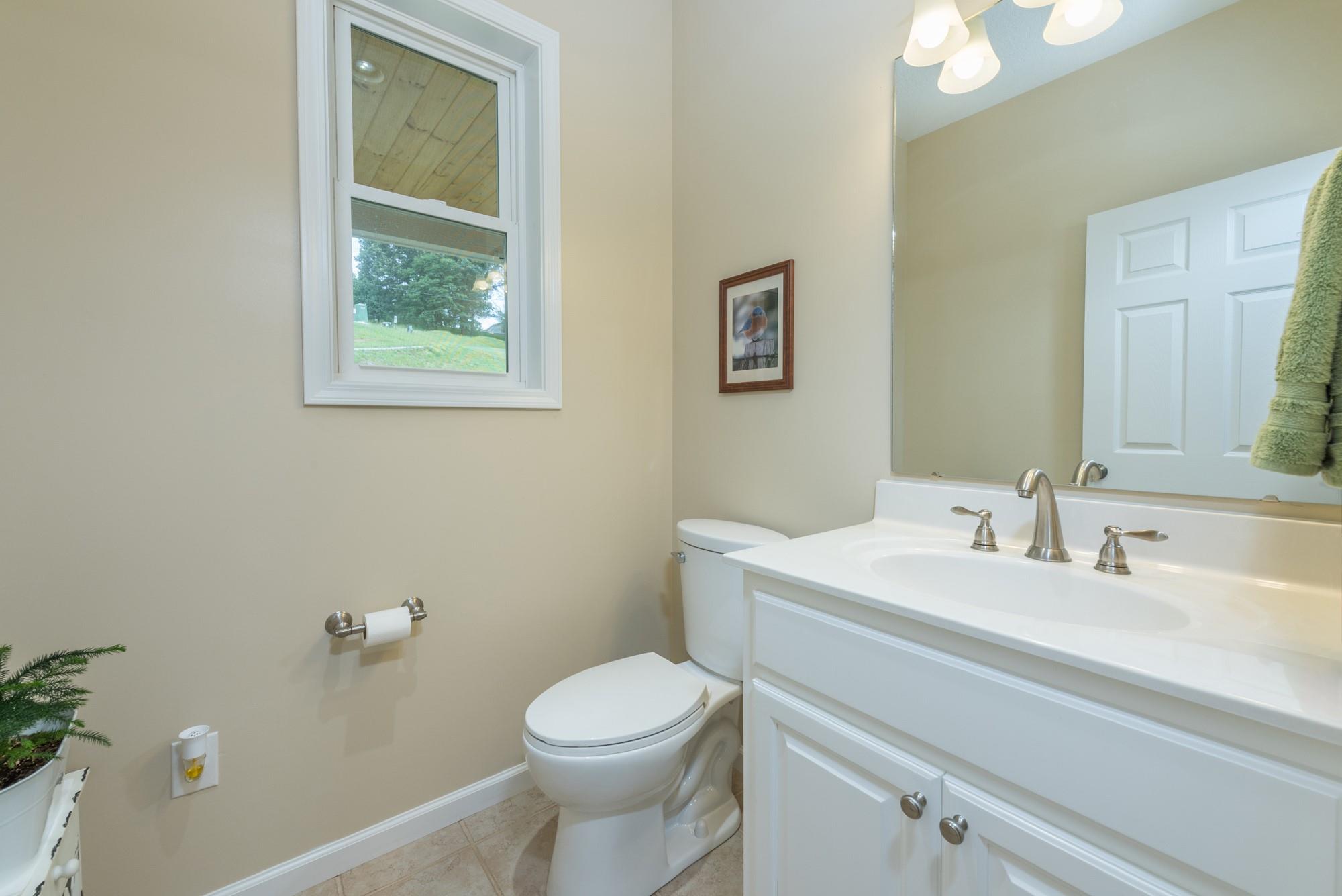 750 Iron Tree Drive Clyde, NC 28721 - Photo 22 of 40 a bathroom with a toilet a sink and mirror