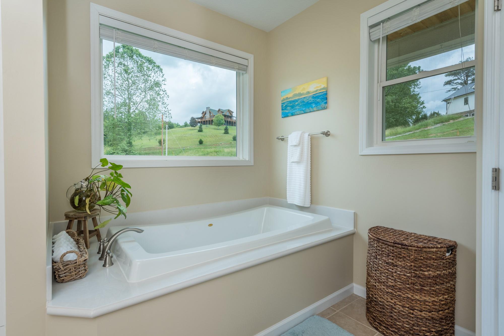 750 Iron Tree Drive Clyde, NC 28721 - Photo 32 of 40 a bathroom with a bathtub and a shower