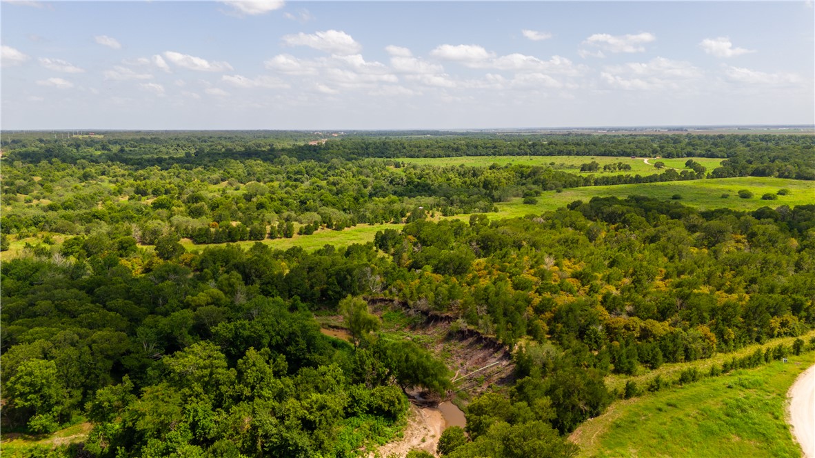 0 Leonard Road Bryan, TX 77807 - Photo 15 of 24 Bird's eye view of a forest