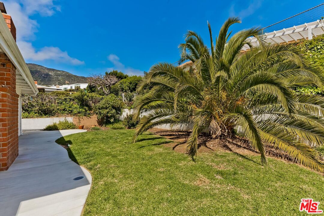 3736 Seahorn Drive Malibu, CA 90265 - Photo 7 of 17 a view of a yard with plants