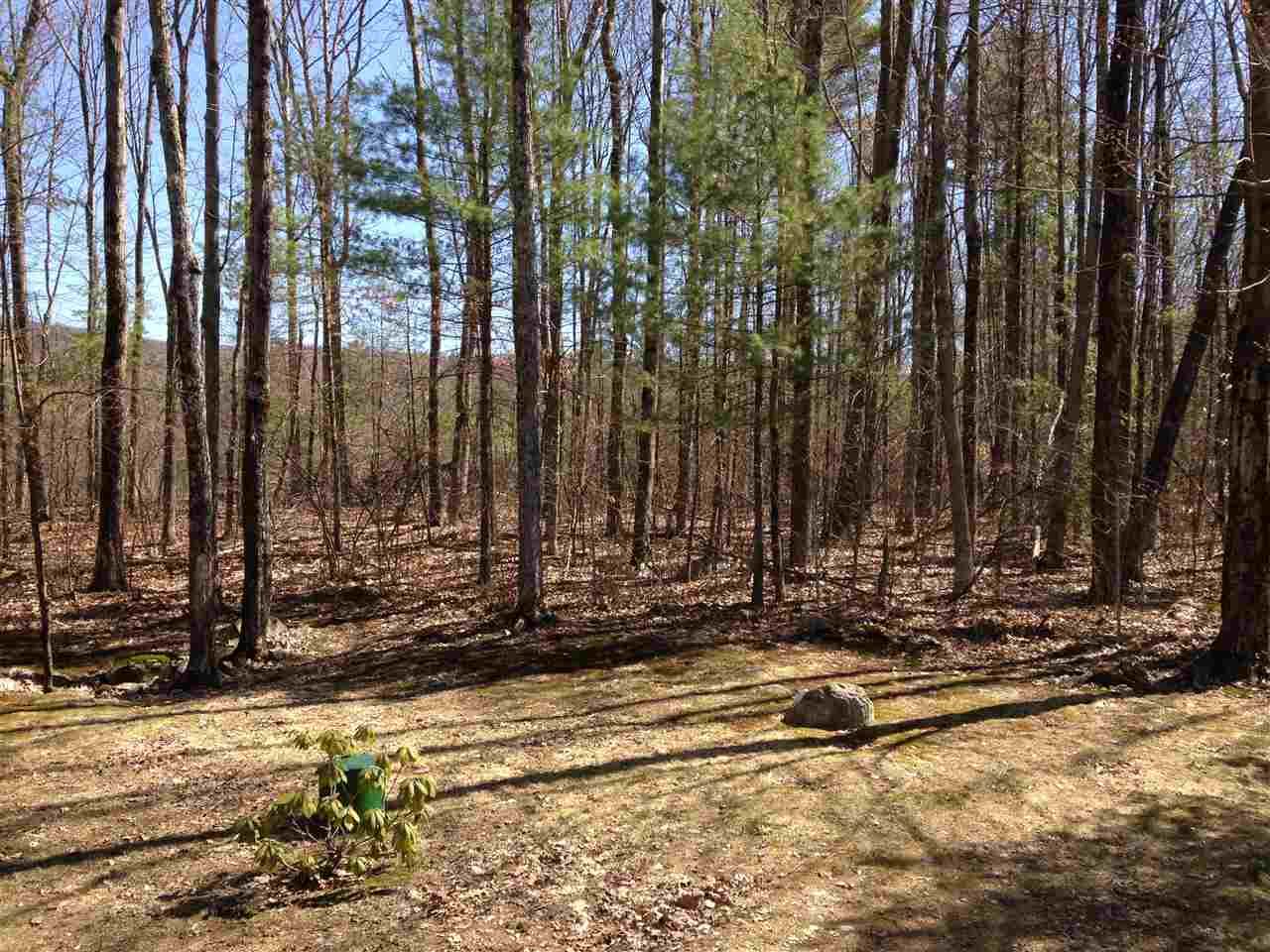 239 Deer Run Road Brandon, VT 05733 - Photo 21 of 27 Gallery Image 21