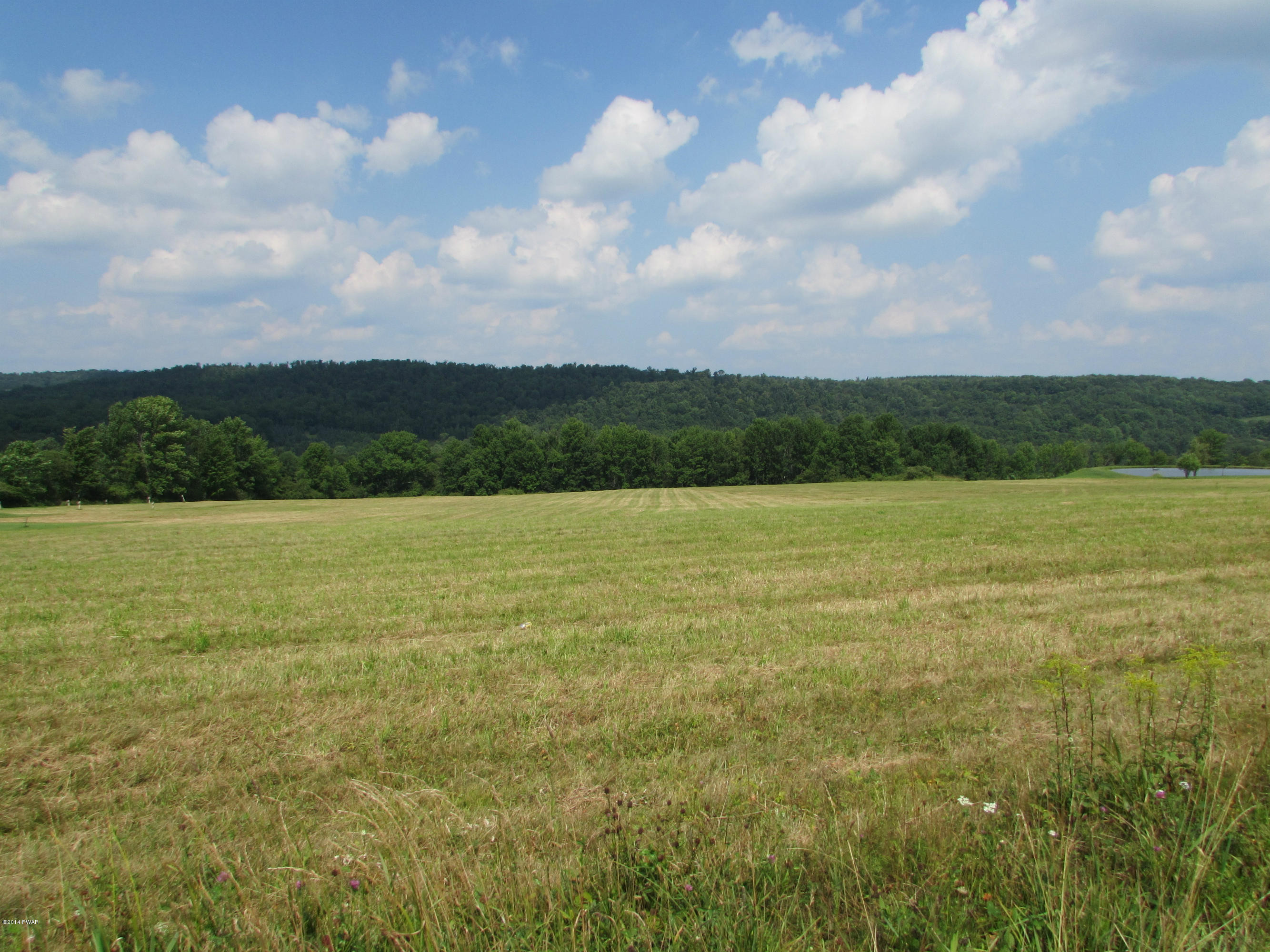 Rutledgedale Road Tyler Hill, PA 18469 - Photo 1 of 3