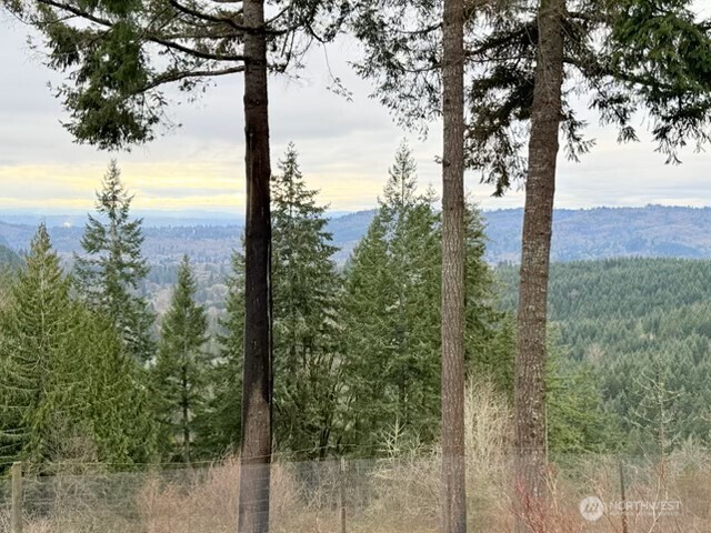 255 Astro Drive Kelso, WA 98626 - Photo 36 of 37