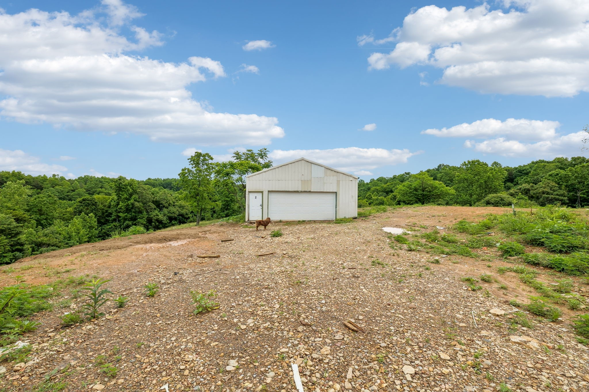 6701 McCormick Ridge Road Whitleyville, TN 38588 - Photo 55 of 63