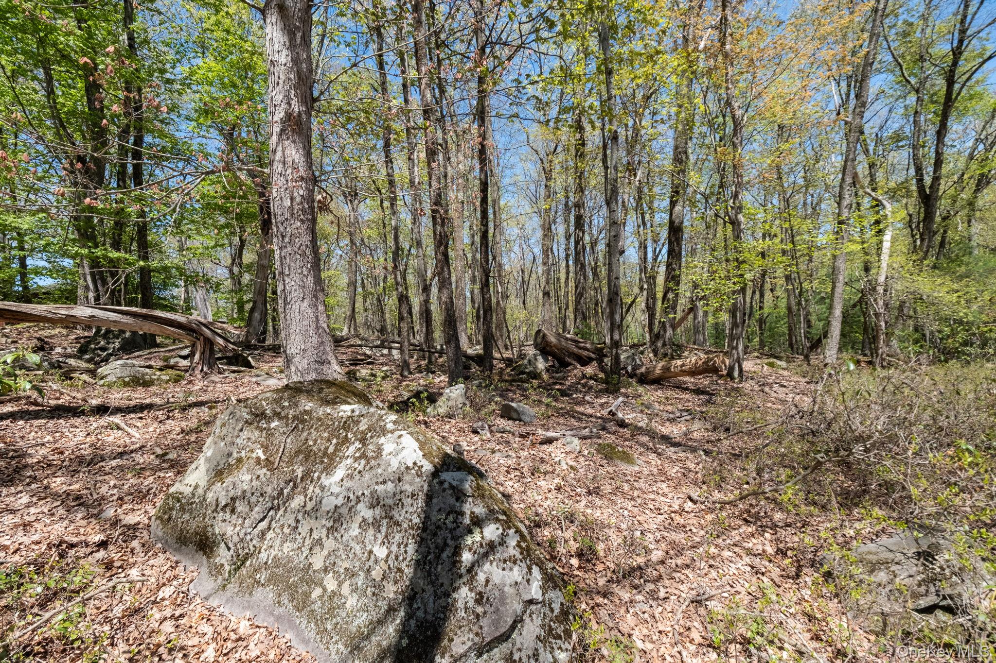 Wolf Pond Road Wurtsboro, NY 12790 - Photo 8 of 13