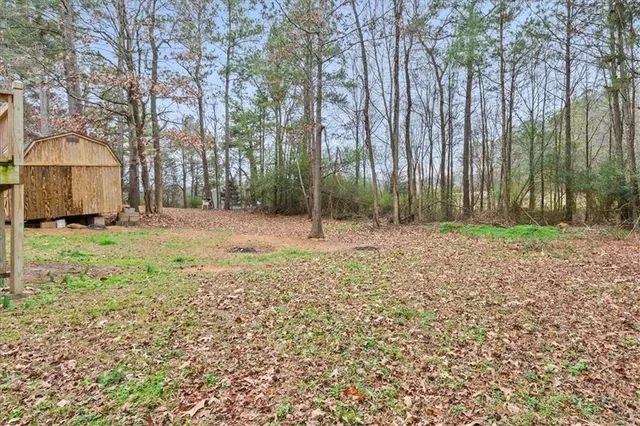 a view of backyard with large trees and a barn