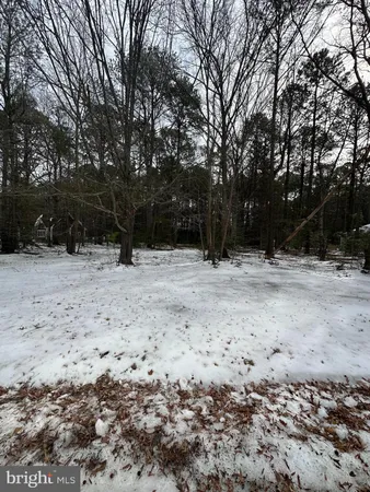 a view of outdoor space with trees