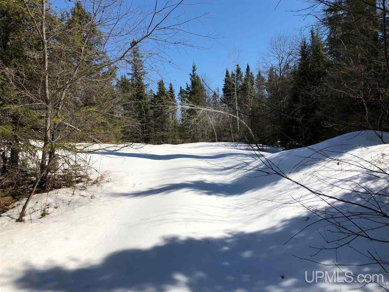 79.99-ac Off West Harding Road Bessemer, MI 49911 - Photo 16 of 33
