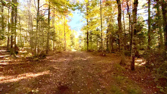 $59,000 | Tbd Ames Road, Lee, ME 04455