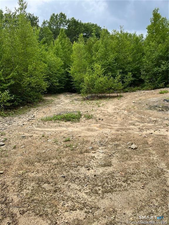 353 Allentown Road Plymouth, CT 06786 - Photo 9 of 9 a view of a yard