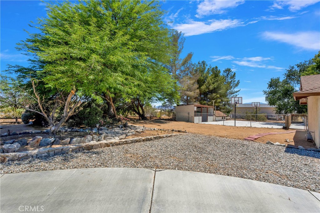 19095 Munsee Road Apple Valley, CA 92307 - Photo 51 of 58 a view of a yard with plants and trees