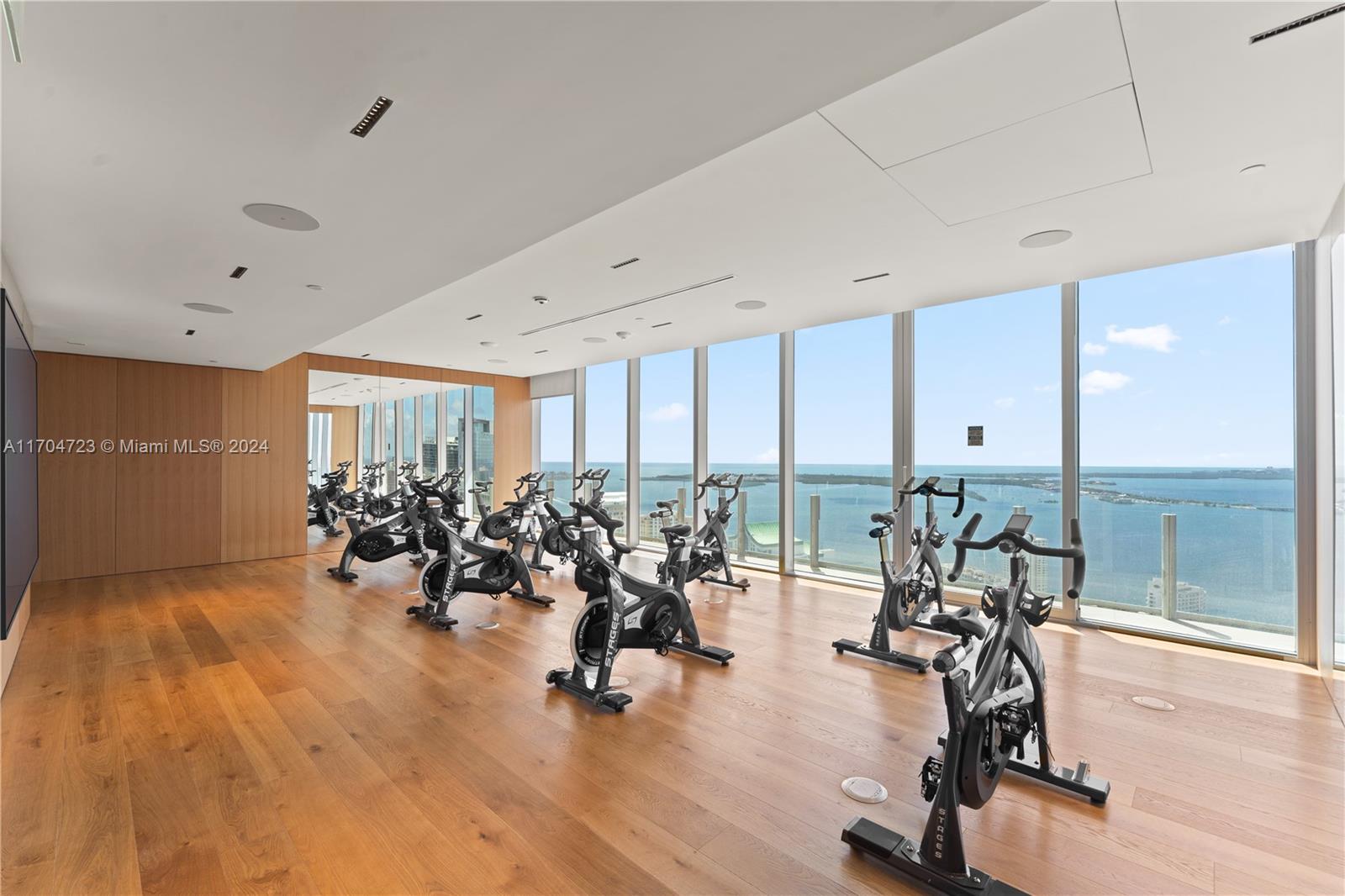 300 Biscayne Blvd Way, Unit 5209 Miami, FL 33131 - Photo 26 of 42 a view of a room with gym equipment