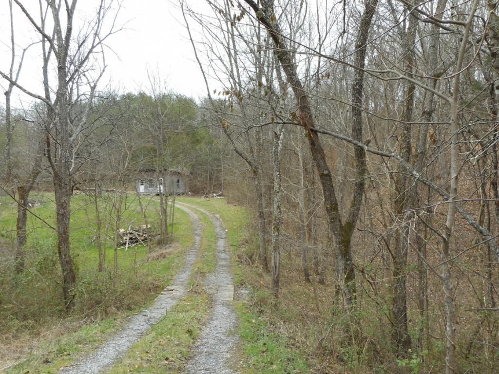 1875 Flea Ridge Road Mohawk, TN 37810 - Photo 3 of 4 Photo 3