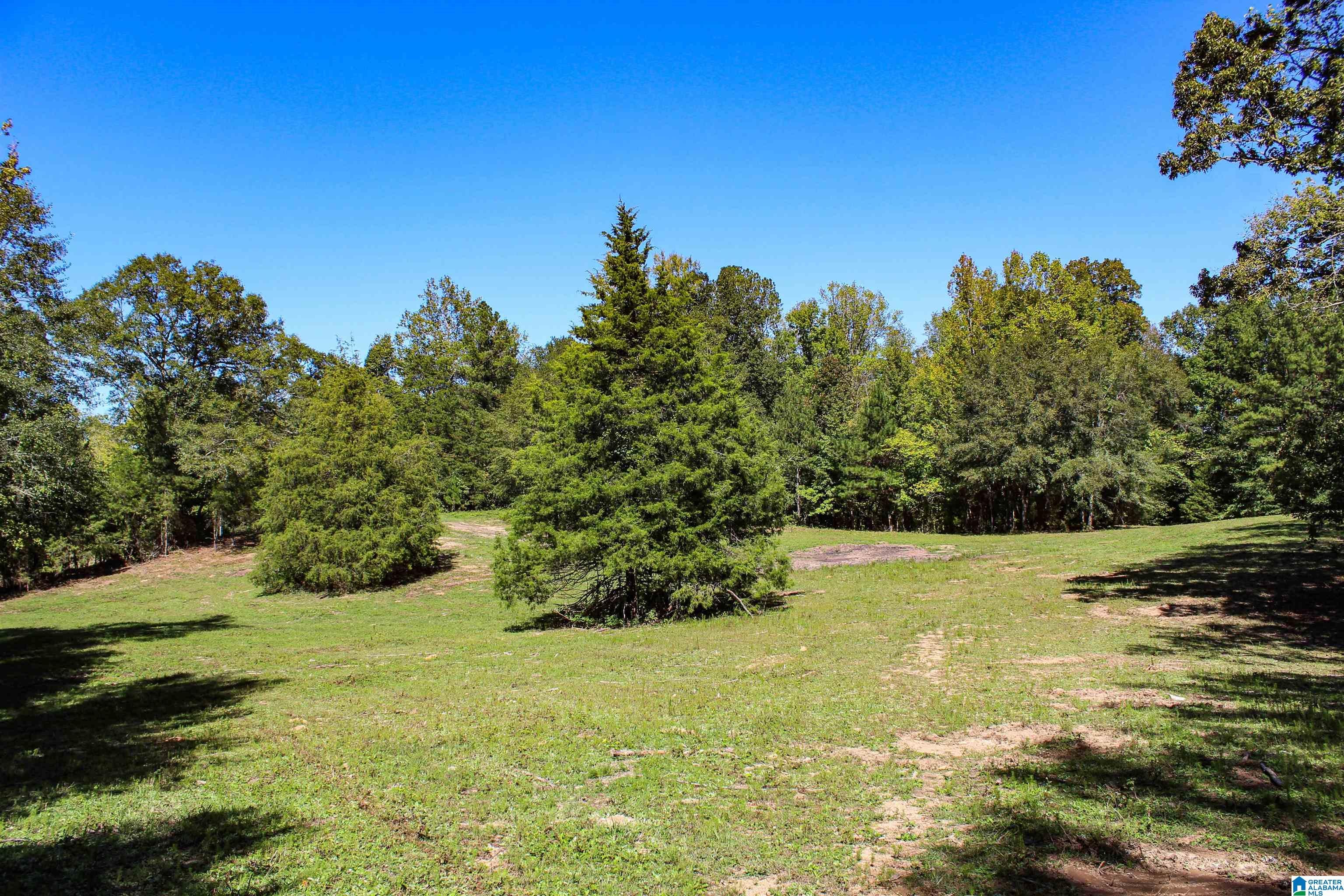 1 Sawyers Cove Road Calera, AL 35040 - Photo 53 of 62 Gallery Image 53