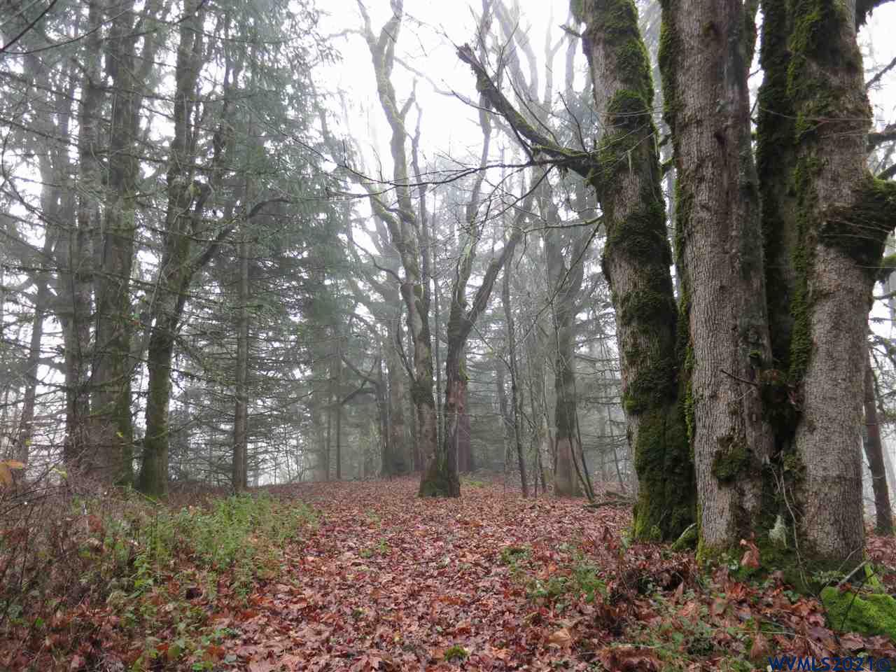 5 Acres Road Dallas, OR 97338 - Photo 2 of 9 a backyard of a house with lots of green space