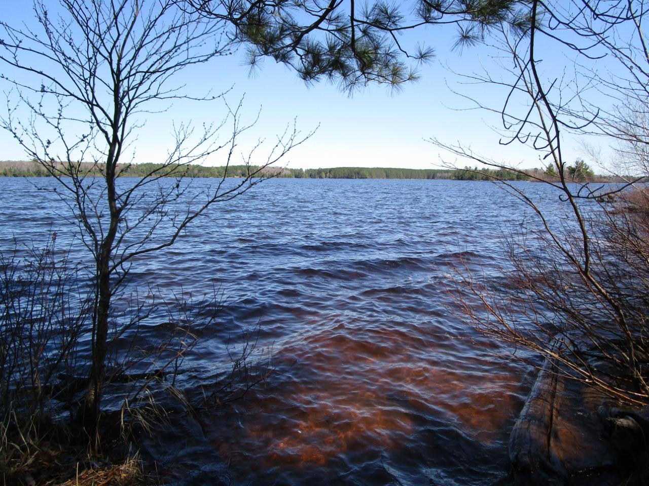 2851 Flowage Road Park Falls, WI 54552 - Photo 42 of 87 Gallery Image 42